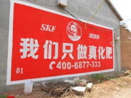理县刷墙广告”蕴含了时代命题