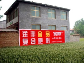 理县如何让墙体广告展现最大化效果
