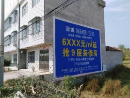 理县墙体广告质量分析