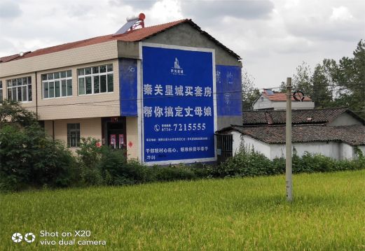 理县决定墙体广告价格的因素有哪些？
